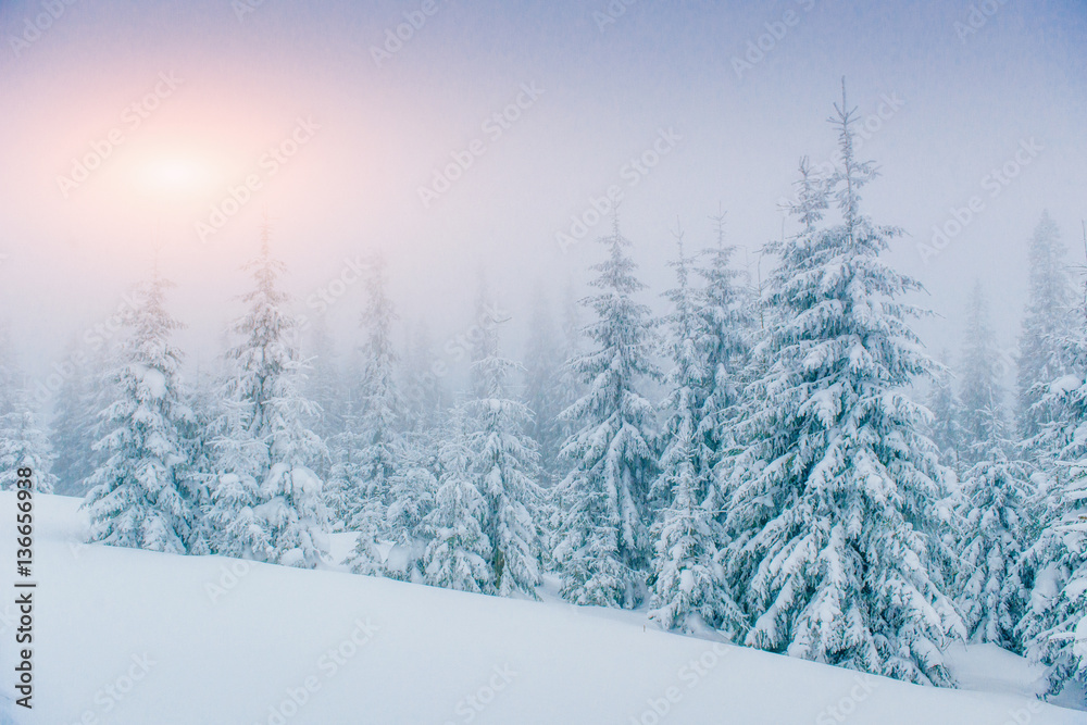 fog in winter mountains. Fantastic sunset