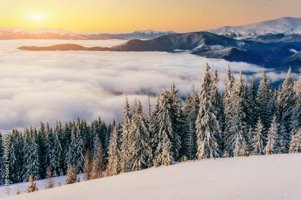 fog in winter mountains. Fantastic sunset