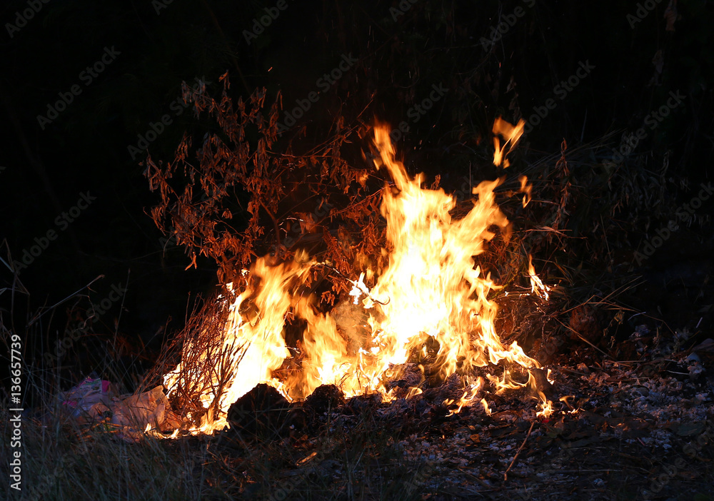 Fire flames burning grass on a black background Fire flames burning grass on a black background