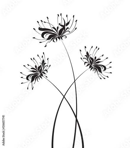 Fototapeta Naklejka Na Ścianę i Meble -  Vector Flower higanbana