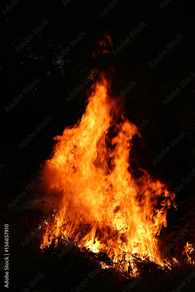 Fire flames burning grass on a black background