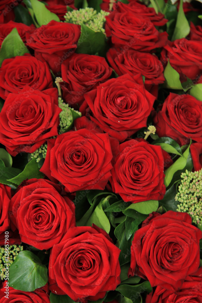 Red bridal roses Red bridal roses