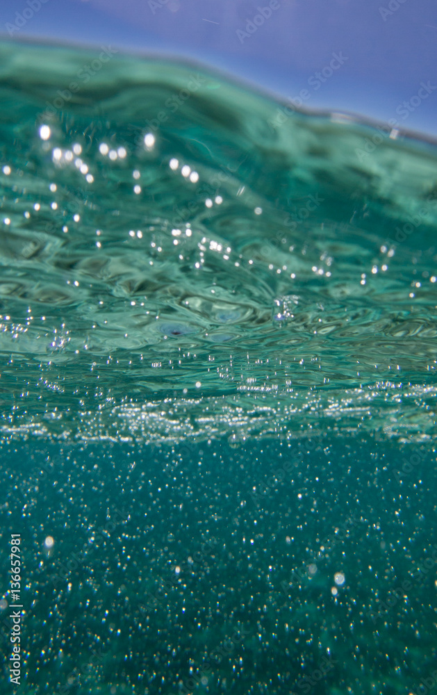 Swimming in clear tropical waters just below surface Swimming in clear tropical waters just below surface