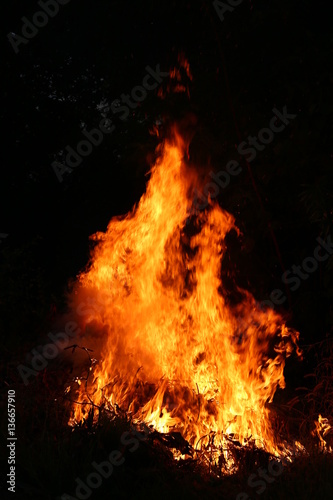Fire flames burning grass on a black background