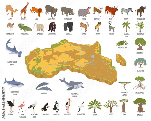 Flat 3d isometric Africa flora and fauna map constructor element