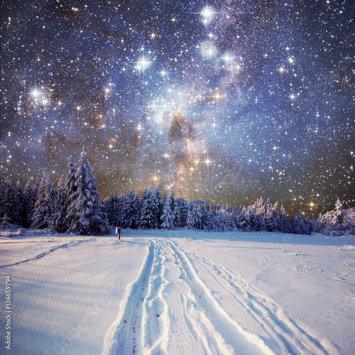starry sky in winter snowy night.