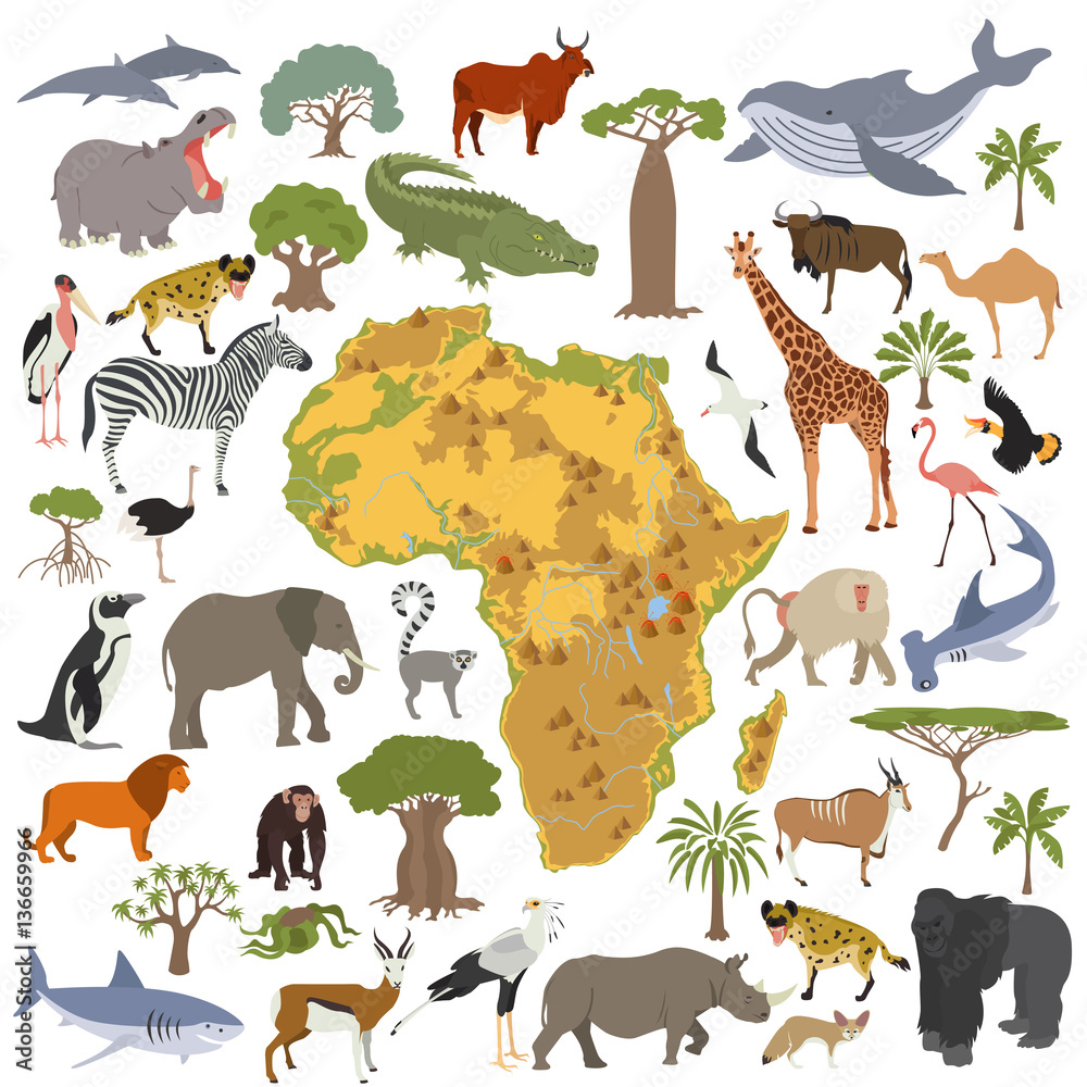 Obraz premium Flat Africa flora and fauna map constructor elements. Animals, b
