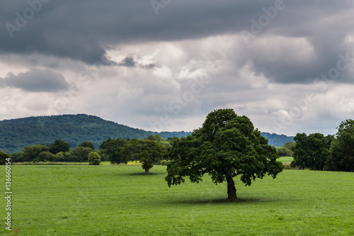 Cheshire scenery photo