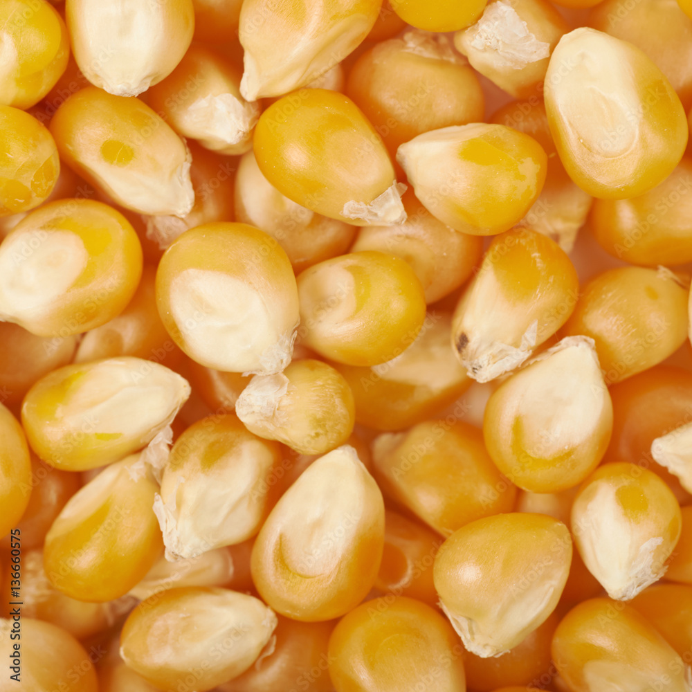 Surface coated with corn kernels