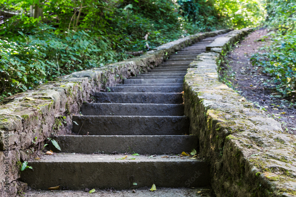 Steps to Ewloe Castle