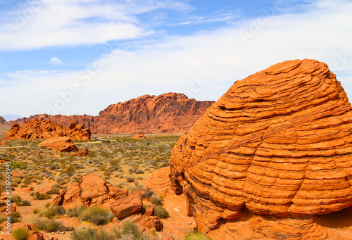 Canvas Print Orange Rocks in the Valley of Fire