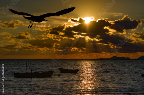 Fototapeta Naklejka Na Ścianę i Meble -  Silifke Bird Paradise at Sunset 
