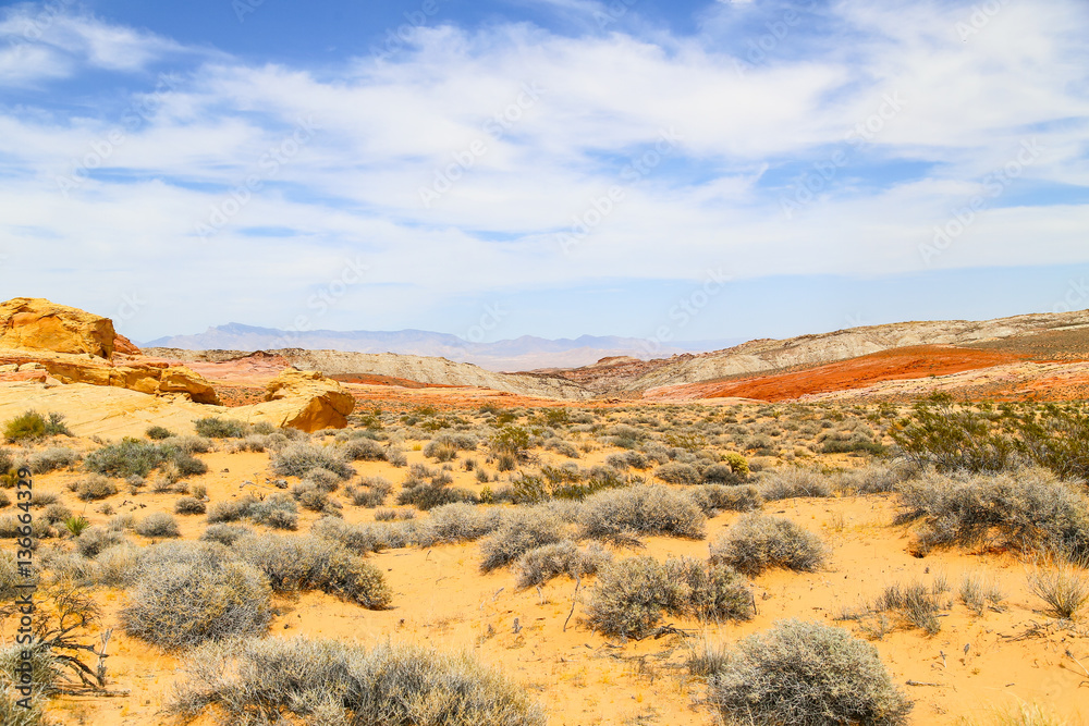 Color Diversity in the Valley of Fire Color Diversity in the Valley of Fire