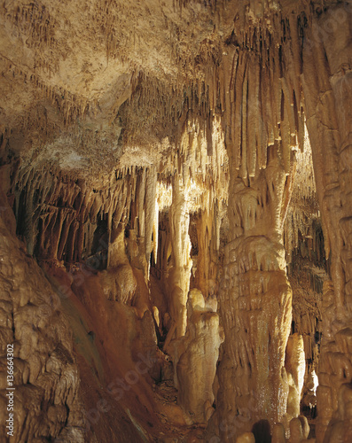 Grotte de l'Observatoire / Jardin Exotique de Monaco