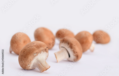 Pilze braun champignon