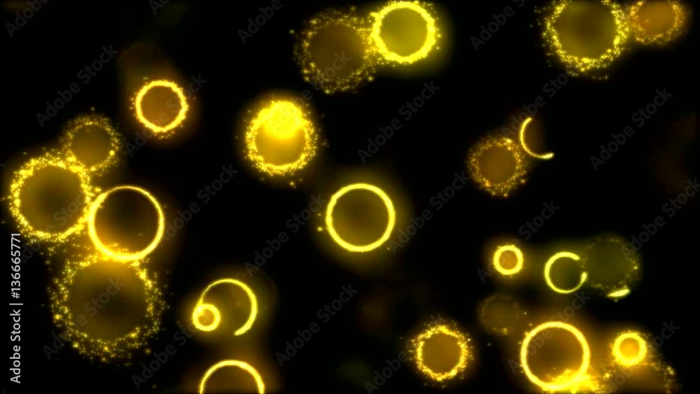 Drawing Circle Shapes on Black Background Animation - Loop Yellow Drawing Circle Shapes on Black Background Animation - Loop Yellow