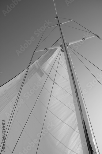 sail © Olivia Rauch