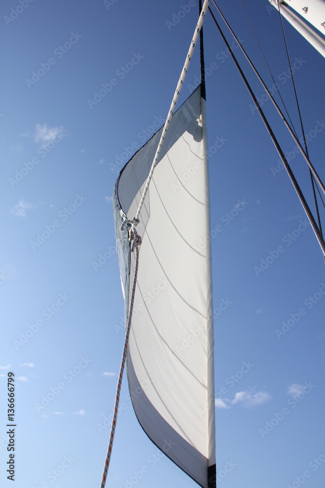 Fototapeta premium sail