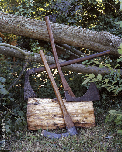 Outils du bois / Hache / Cognée