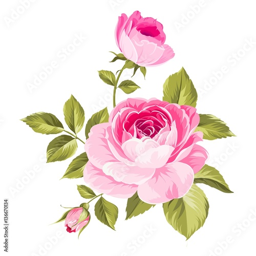 Spring flowers bouquet of color bud garland. Label with rose flowers. Vector illustration.