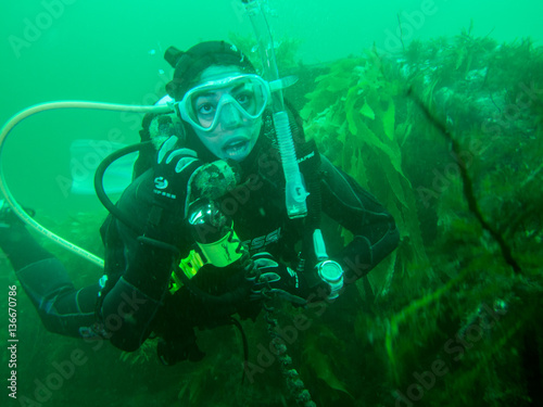 Female scuba diver making phone call underwater