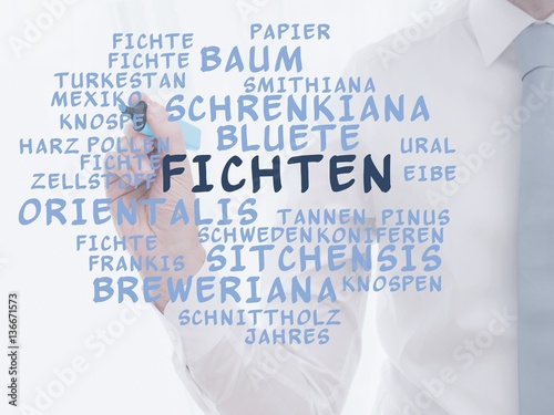 Fichten photo