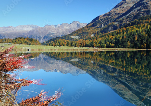 Spring in Alps