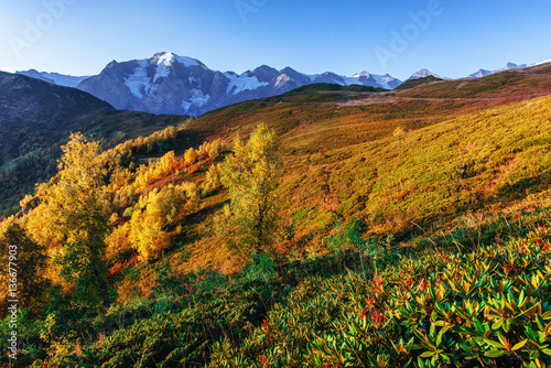 Autumn landscape and snow-capped mountain peaks. View of the mou