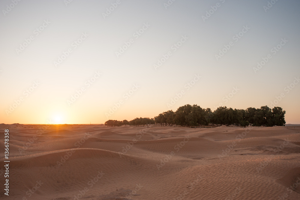 Sunrise in the Sahara desert 02
