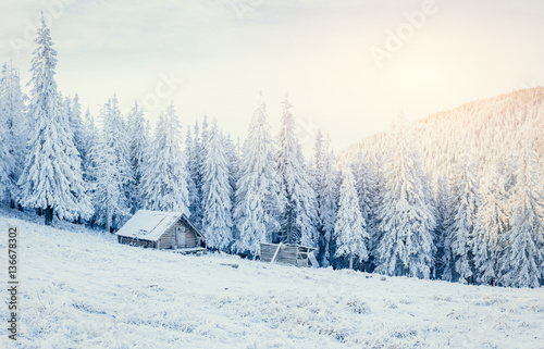 cabin in the mountains in winter 