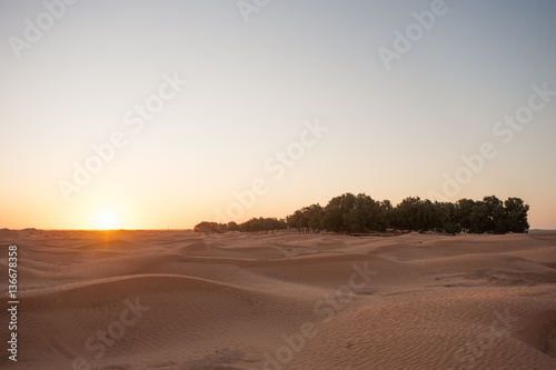 Sunrise in the Sahara desert 02