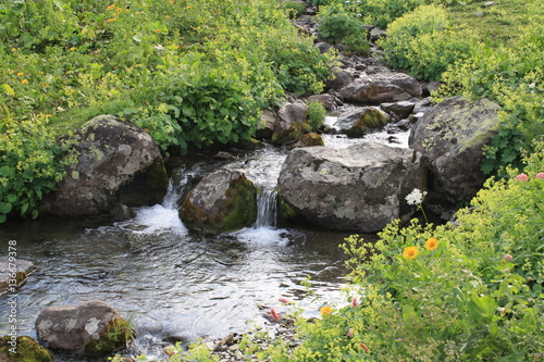 mountain stream flowing between stones