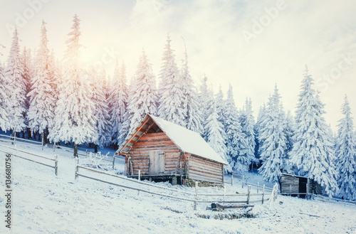 Cabin in the mountains in winter. Carpathian, Ukraine, Europe