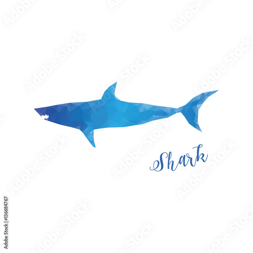 Low poly shark isolated. Blue shark with lettering