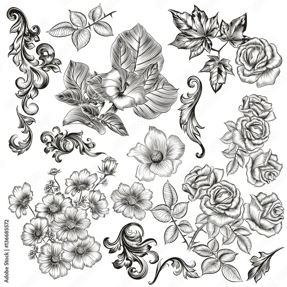 Big collection of vector flowers and plants drawn in old style Big collection of vector flowers and plants drawn in old style