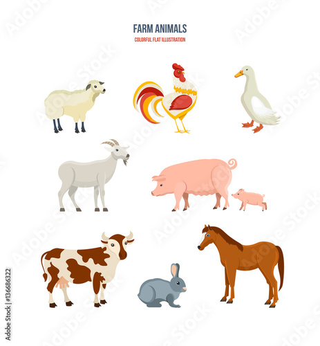 Set of different farm animals on white background.