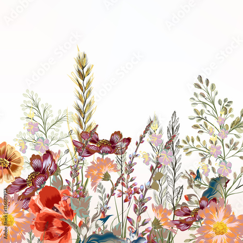 Floral illustration with field flowers  in vintage style
