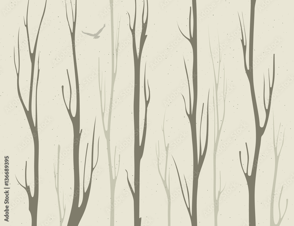 Fototapeta premium dry branches of bamboo trees