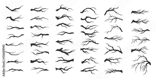 vector set dry tree branches