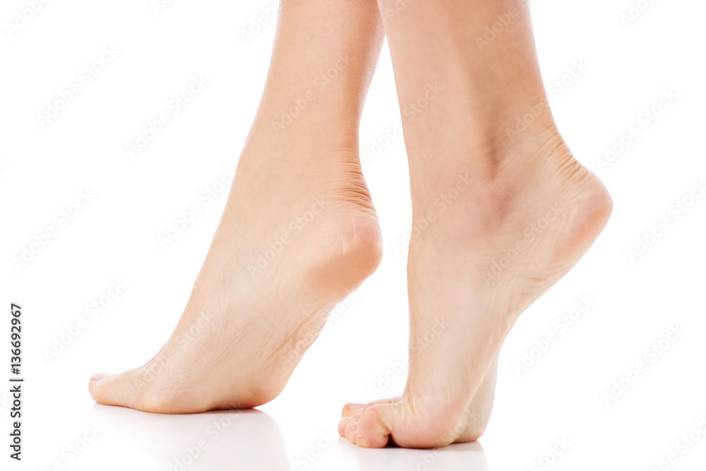 Women's feet on white background. Women's feet on white background.