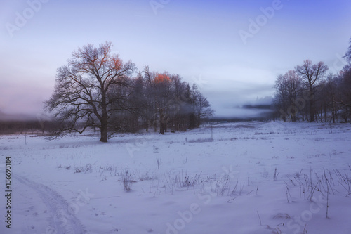 Winter wonderland © Photo Collective