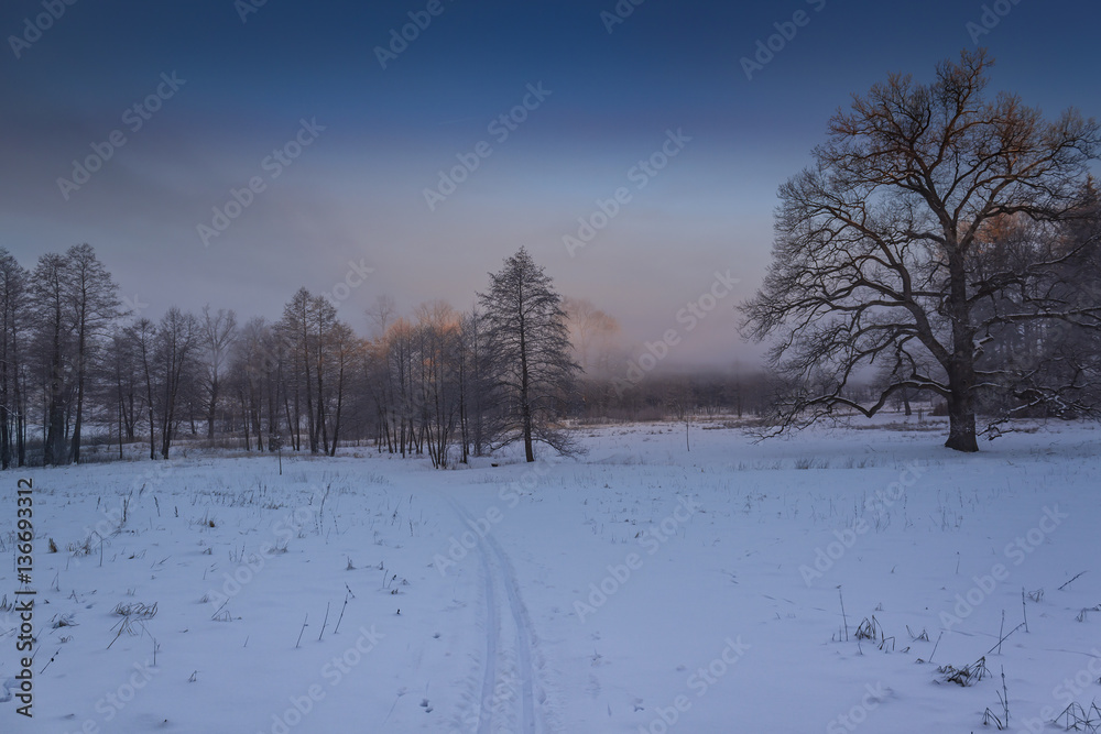 Obraz premium Winter wonderland