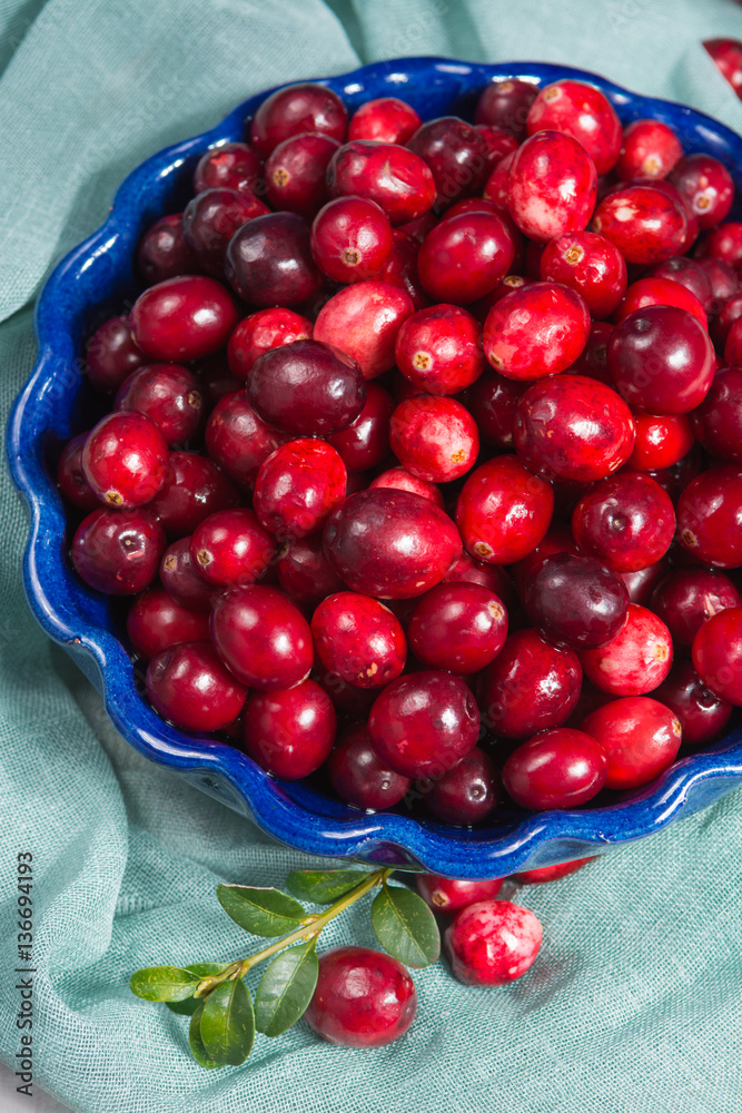 Fresh cranberries in a blue bowl. Ripe berries of Vaccinium Fresh cranberries in a blue bowl. Ripe berries of Vaccinium