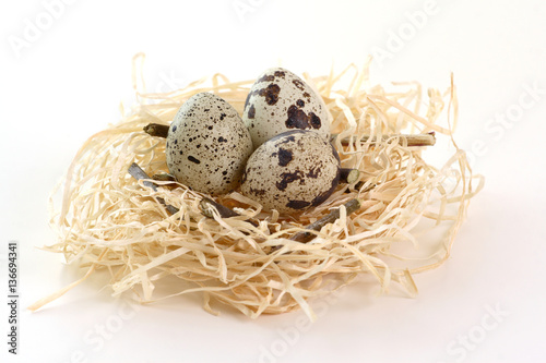 Quail eggs in the nest isolated on the white background
