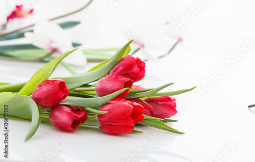 Fototapeta Naklejka Na Ścianę i Meble -  Red tulips on white background