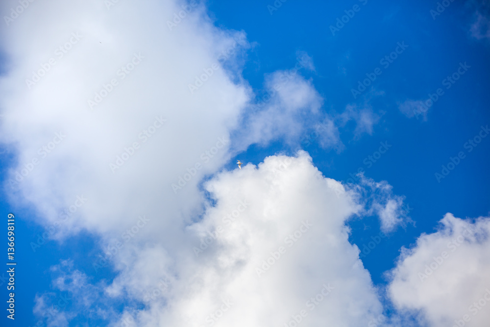 Clouds with blue sky , flying seagull Clouds with blue sky , flying seagull