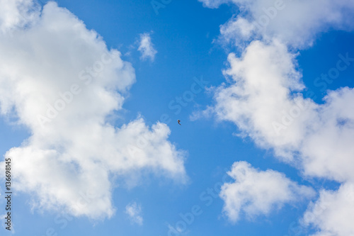 Clouds with blue sky , flying seagull