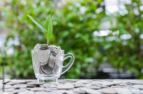 Plant is growing from maney in the glass for saving money concept photo