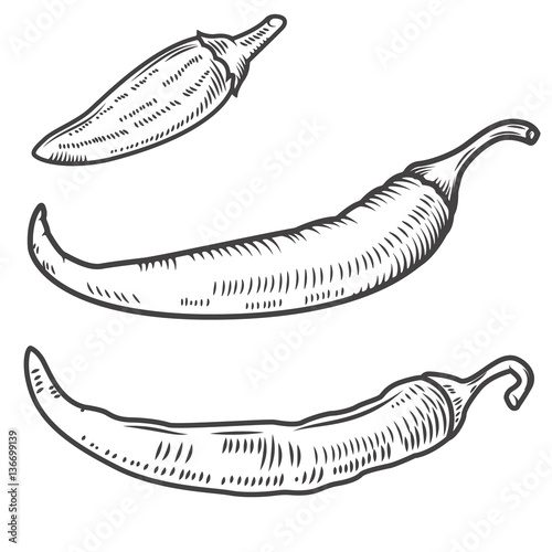 set of chili peppers isolated on white background. Design elemen