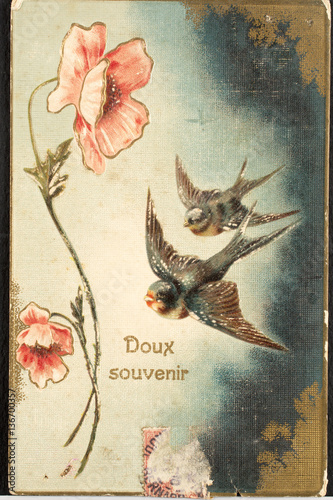 Carte postale ancienne   Doux souvenir   Oiseau   Coquelicot